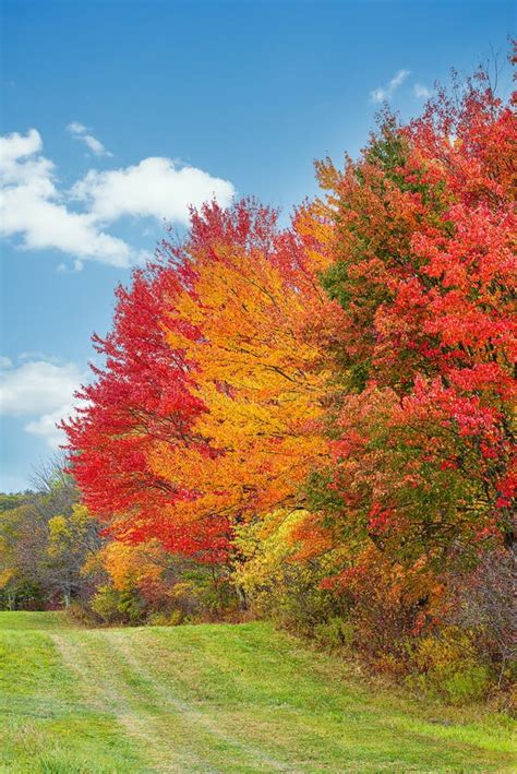Beautiful Autumn Landscape Foliage Trees In New England Stock Photo
