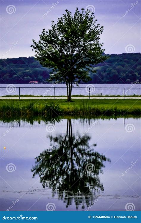Big Foot Beach State Park - Tree Reflections Stock Photo - Image of