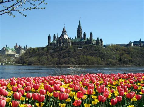 3840x2160 4k spring desktop wallpaper for pc. 45+ Spring Scenery Wallpaper for Desktop on WallpaperSafari