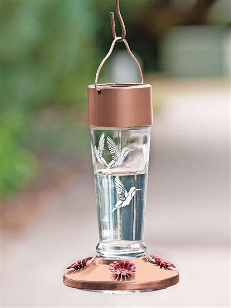 Maoyue hummingbird feeder for outdoor hand blown glass hummingbird feeders with solar lights 25 fluid ounces nectar capacity include ant moat, metal hook, hemp rope, brush. Solar Lighted Glass Hummingbird Feeders | Solutions