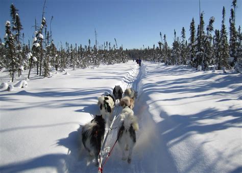 This will lead to disruption of water supply in the vicinity of the raithín area, residents will receive notification of any disruption. Boundary Waters by Dogsled: A Bucket List Adventure ...