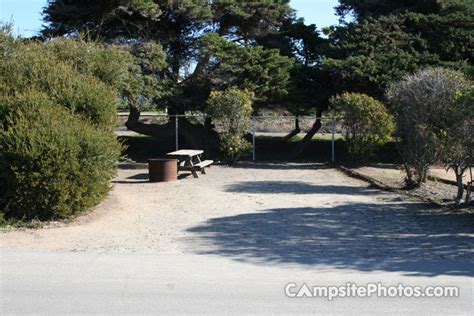 South Campground Campsite Photos Campsite Availability Alerts And Info