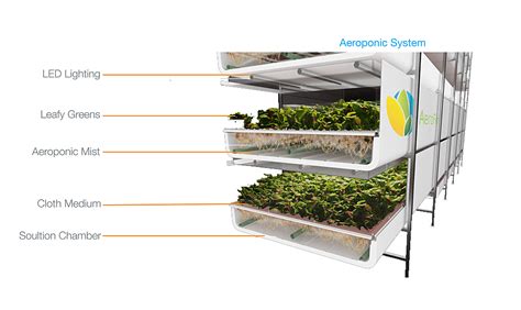 Download scientific diagram | lettuce cultivated: Design Build Vertical Farm | Ryan Brown | Archinect