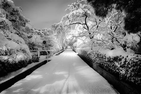 Jeffrey Friedls Blog Kyoto At Night During A Heavy Snow Part 2