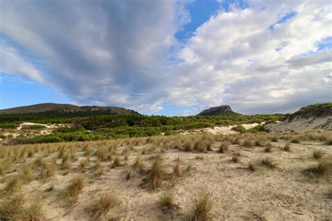 Venezuela (pago por taquilla, internet ). Landschaft in Llevant, Mallorca, Spanien • Jamane