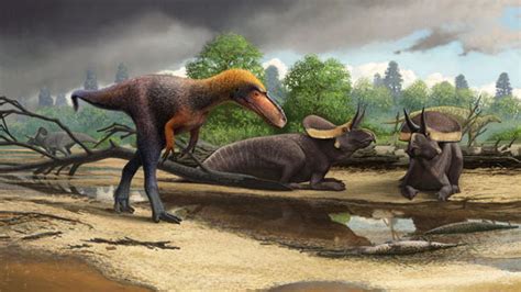 We did not find results for: Small T. rex Relative Found in New Mexico: Suskityrannus ...