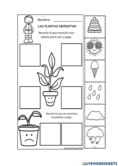 Las Plantas Necesitan Worksheet Science Experiments Kids Elementary