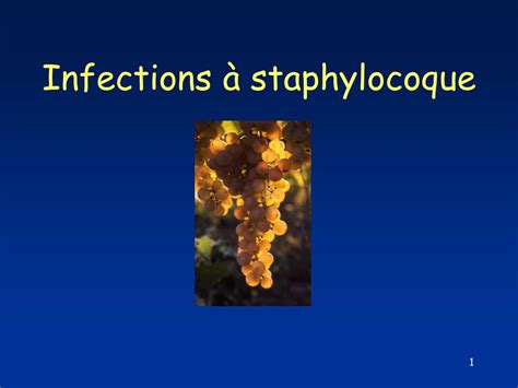 Ppt Infections à Staphylocoque Powerpoint Presentation Id604829