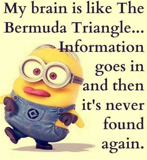 Funny Quotes Of The Day 26 Pics Funoramic Minions Funny Funny