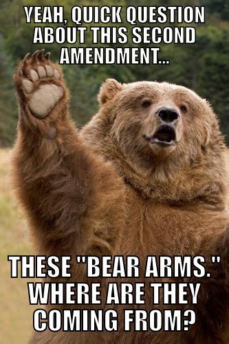 2nd Amendment Meme By Chris Limbert Memedroid