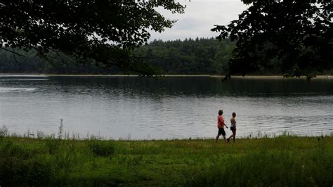 Study People Need To Stop Peeing In Walden Pond