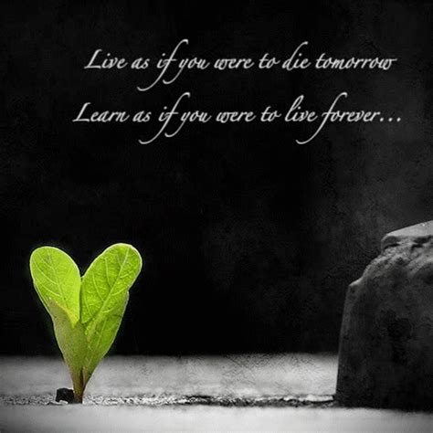 Check spelling or type a new query. 30 Classic Quotes On Life With Images