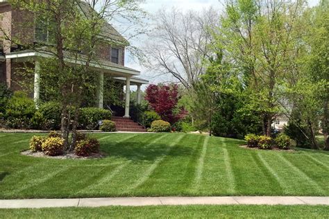 What To Know Before Hiring Lawn Care And Landscaping Professionals A