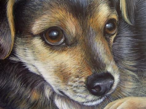 Pet Portraits On Commission Hand Painted Dog Portrait On Etsy Pet