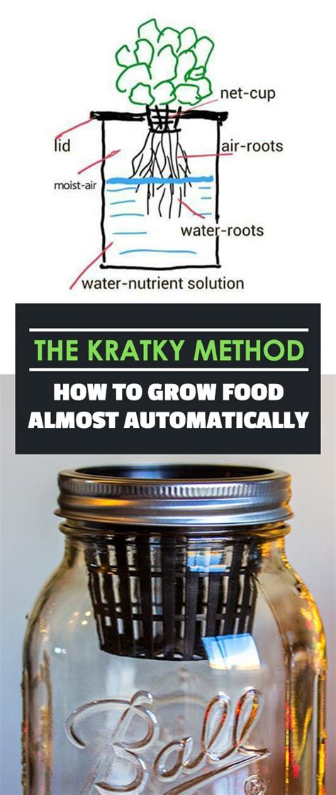 The Kratky Method Is The Simplest Most Hands Off Method For Growing