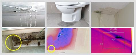 These lines are formed because of the internal framing of the when these stains become apparent, scrubbing them off may no longer be a viable option. A Stepwise Guide to deal with Water Stains on Your Ceiling ...