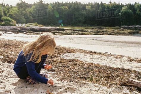 Girl Picking Shells While Crouching On Sand At Beach Stock Photo Dissolve