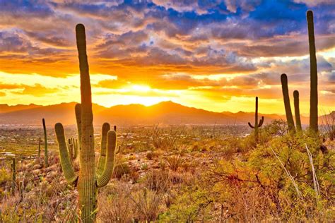 The Ultimate 7 Day Arizona Road Trip Itinerary
