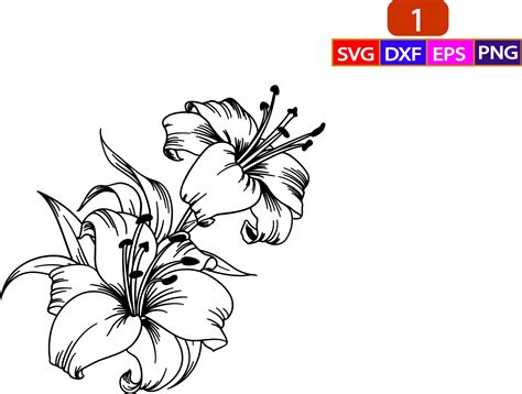 Lily Flower Svg lily SVG Flower Svg Files for Cricut Cut | Etsy