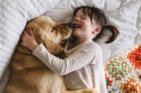 How Different Dog Breeds Give And Receive Love From Humans