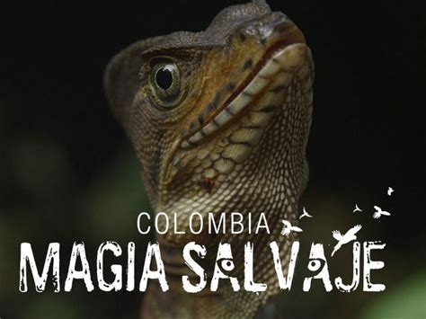 Colombia Magia Salvaje Sercolombiano