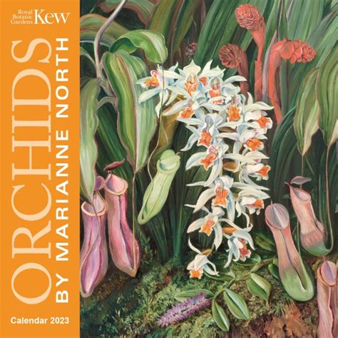 Kew Gardens Orchids By Marianne North Mini Wall Calendar 2023 Art