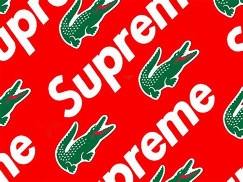 63 top supreme logo wallpapers , carefully selected images for you that start with s letter. Download High Quality supreme logo design Transparent PNG ...
