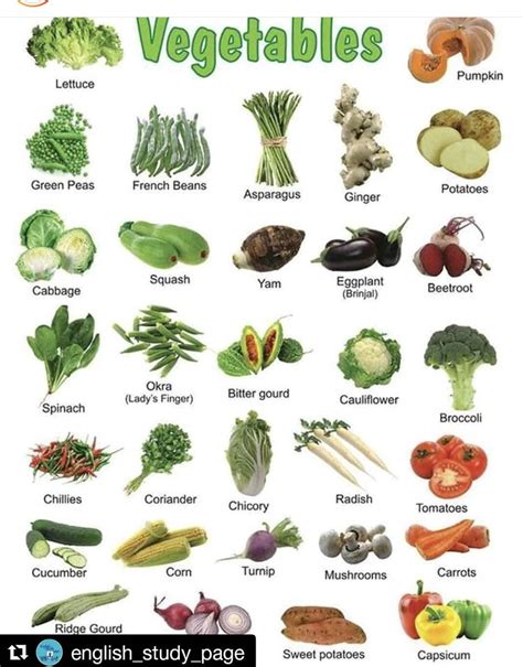 Vegetables Names With Pictures Fruits And Vegetables Pictures Name Of