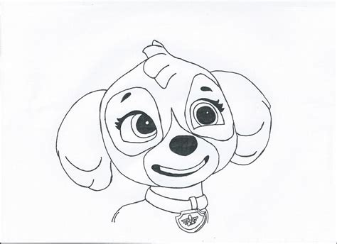 Paw Patrol Skye By Pawpatrolfan66 On Deviantart