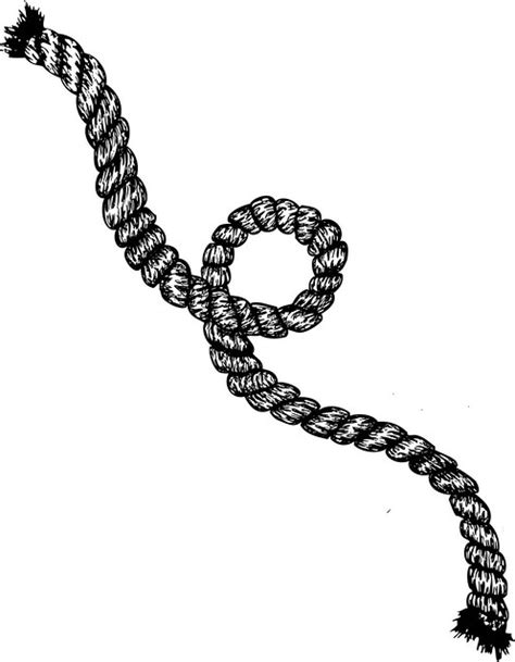 Rope Drawing Vector Flickr Photo Sharing
