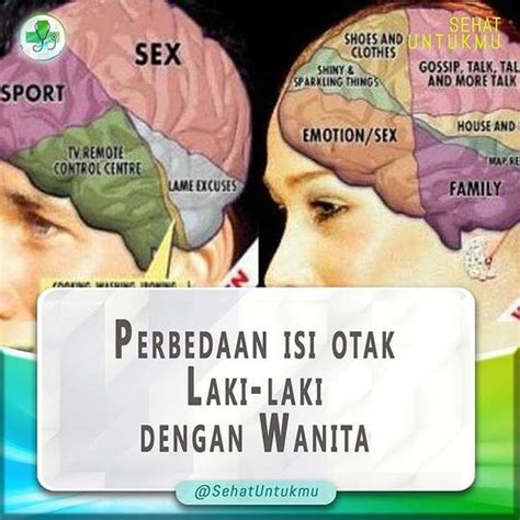 Perbedaan Otak Laki Laki Dan Perempuan Terkait Perbedaan