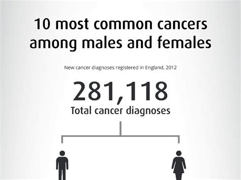 Infographic On The Most Common Cancers In Males And Females