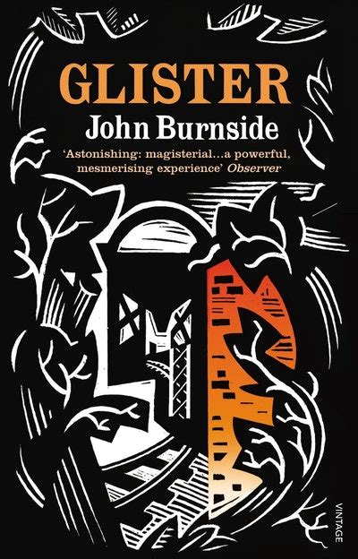 Glister By John Burnside Penguin Books New Zealand