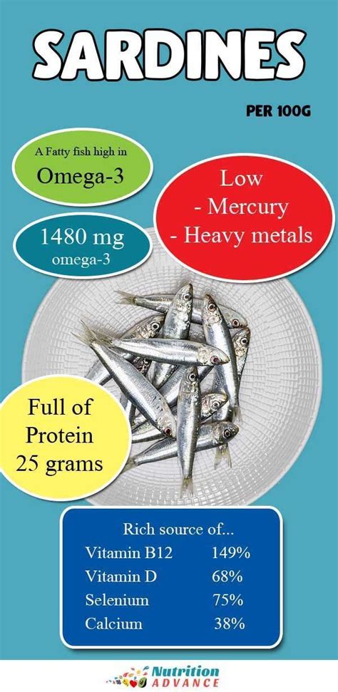 Sardines 101 Nutrition Facts And Health Benefits Nutrition
