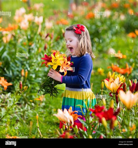 Cute Little Girl Picking Lily Flowers In Blooming Summer Garden Child