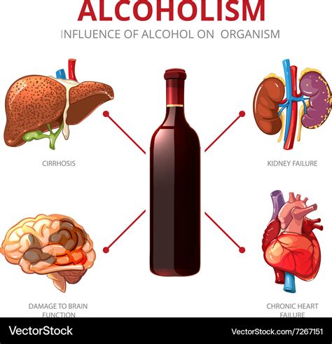 Physical Alcohol Effects Rmtblogss