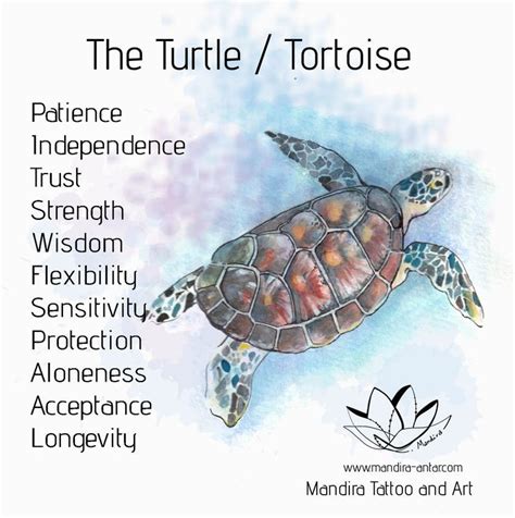 Tattoo Symbols The Turtle And Tortoise Turtle Spirit Animal Sea