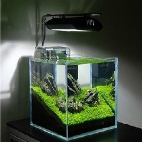 Designer Aquarium Fish Tank Complete Mini Aquarium Betta Tank House