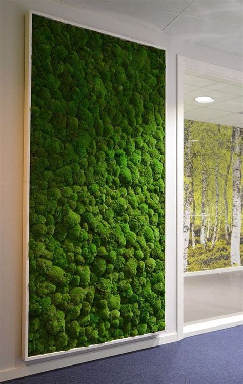 Moss Walls And Biophilic Preserved Plant Walls Moosbilder