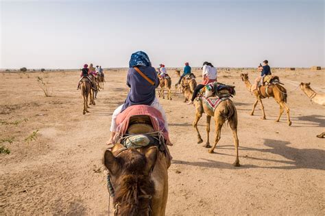 Camel Safaris In Jaisalmer And Bikaner What To Know