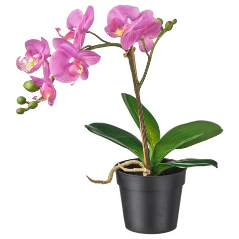 Fejka Artificial Potted Plant Orchid Lilac Ikea