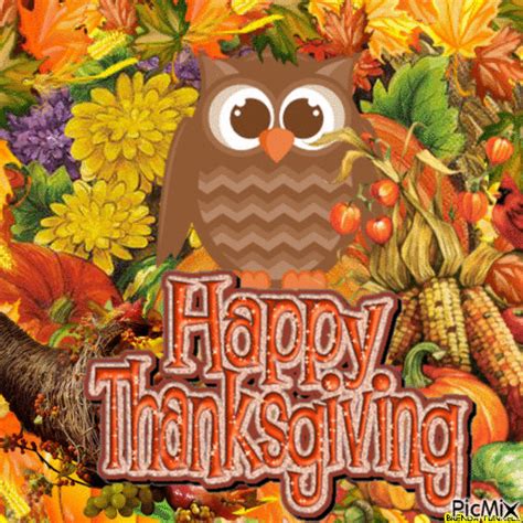 Happy Thanksgiving Owl  Pictures Photos And Images