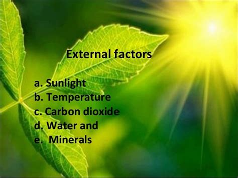 Factors Affecting Plant Growth And Development Tw