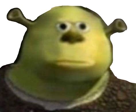 Meme Pfp Shrek Meme Memexd Memes Shrek Shrekmeme Mikewazowski Shrek
