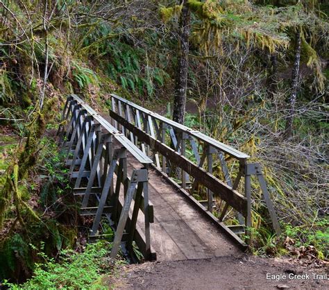 Eagle Creek Trail Cascade Locks All You Need To Know Before You Go