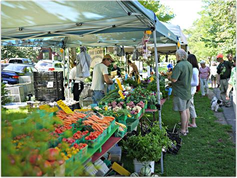 10 Farmer's Market Supplies to Always Have on Hand - Gredio | Discover