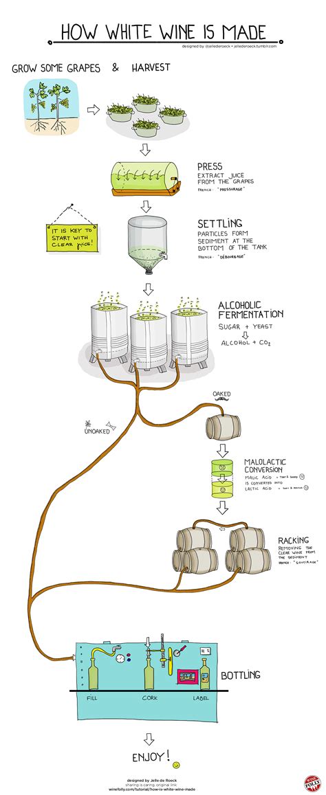 How White Wine Is Made From Grapes To Glass Wine Folly