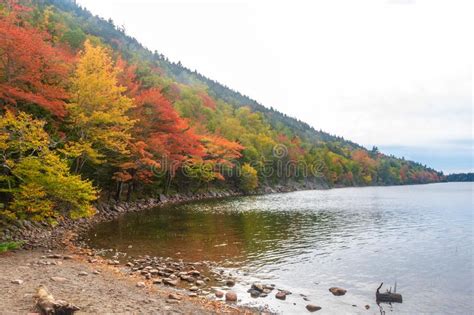 Autumn Leaves On The Shore Of Jordan Pond Stock Image Image Of Create