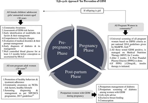 Life Cycle Approach For Prevention Of Gestational Diabetes Mellitus