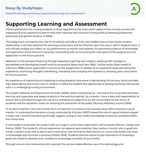 Supporting Learning And Assessment Essay Example StudyHippo Com